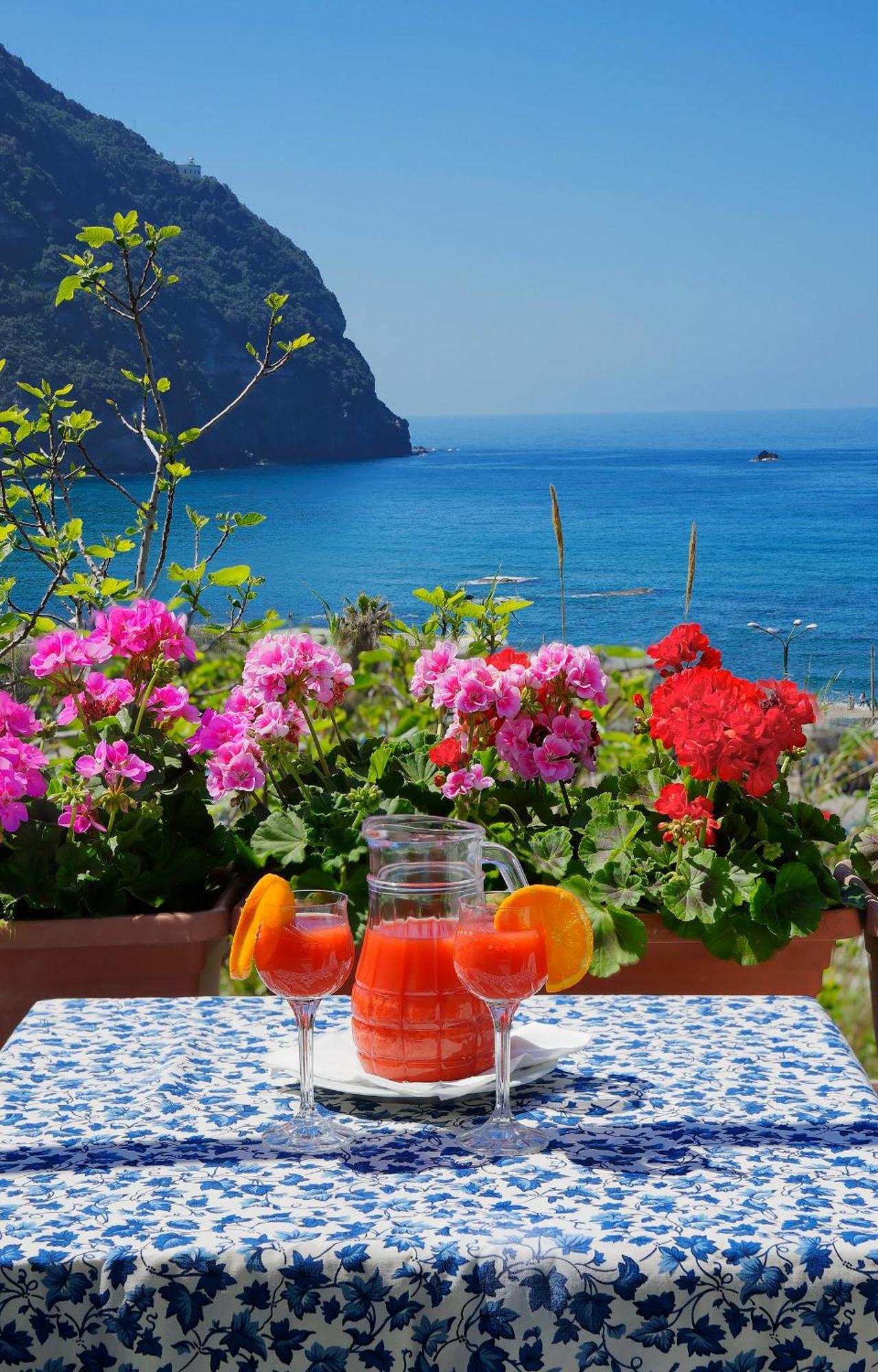 Hotel Casa Del Sole Forio di Ischia Exteriér fotografie