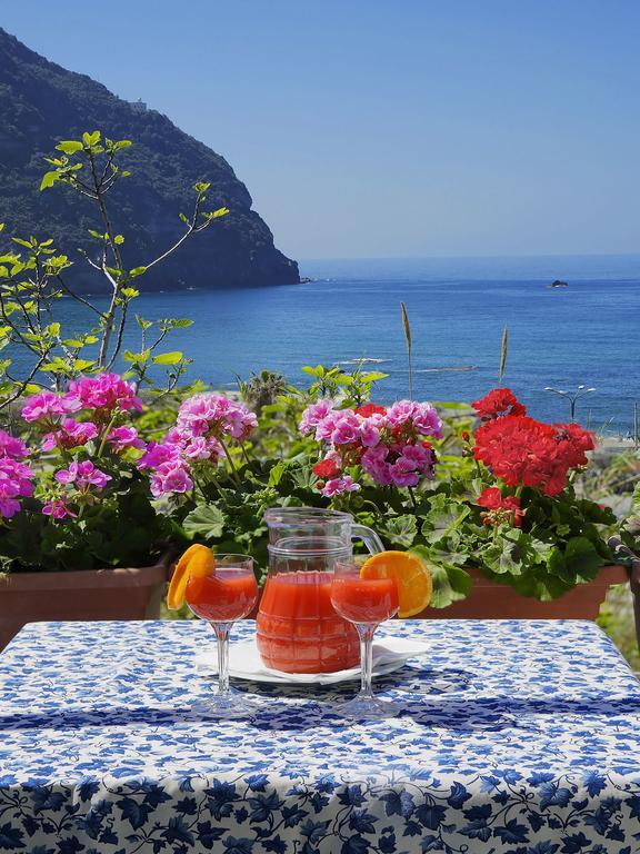 Hotel Casa Del Sole Forio di Ischia Exteriér fotografie